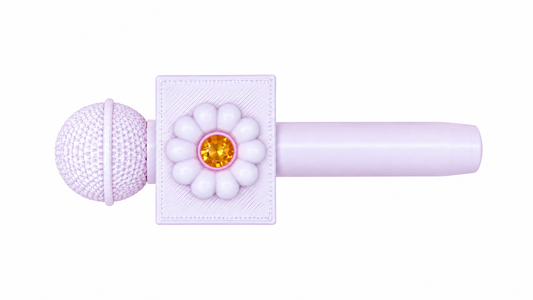 MINI MIC